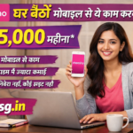 Meesho Work From Home
